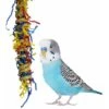 Super Bird Creations Fiesta Millet Holder Bird Toy, Small/Medium 1 Super Bird Creations Fiesta Millet Holder Bird Toy, Small/Medium -Sunny Decor Shop 146977 MAIN. AC SS1800 V1662689304