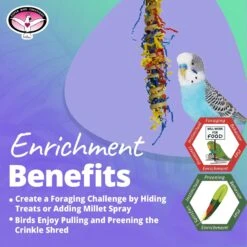 Super Bird Creations Fiesta Millet Holder Bird Toy, Small/Medium -Sunny Decor Shop 146977 PT4. AC SS1800 V1665781123