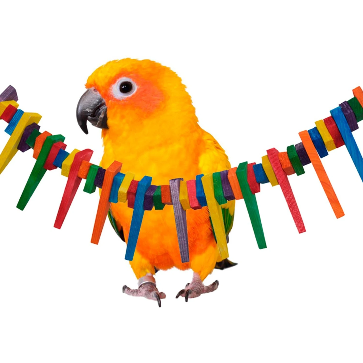 Super Bird Creations Mini Triangle Teaser Bird Toy, Medium 3 Super Bird Creations Mini Triangle Teaser Bird Toy, Medium