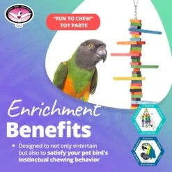 Super Bird Creations Mini Triangle Teaser Bird Toy, Medium 13 Super Bird Creations Mini Triangle Teaser Bird Toy, Medium -Sunny Decor Shop 146982 PT4. AC SS1800 V1662671535