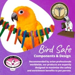 Super Bird Creations Mini Triangle Teaser Bird Toy, Medium 16 Super Bird Creations Mini Triangle Teaser Bird Toy, Medium -Sunny Decor Shop 146982 PT7. AC SS1800 V1685653372