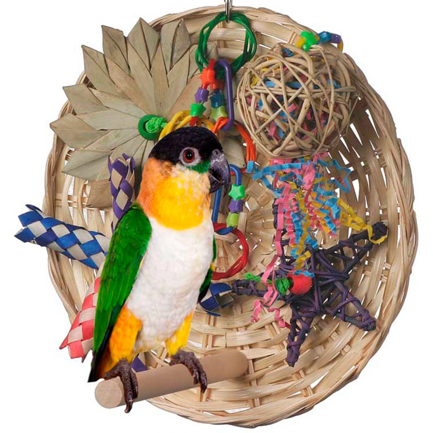 Super Bird Creations Busy Birdie Play Perch Bird Toy, Small/Medium 3 Super Bird Creations Busy Birdie Play Perch Bird Toy, Small/Medium