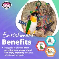 Super Bird Creations Busy Birdie Play Perch Bird Toy, Small/Medium 15 Super Bird Creations Busy Birdie Play Perch Bird Toy, Small/Medium -Sunny Decor Shop 146987 PT4. AC SS1800 V1663012622