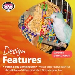 Super Bird Creations Busy Birdie Play Perch Bird Toy, Small/Medium 19 Super Bird Creations Busy Birdie Play Perch Bird Toy, Small/Medium -Sunny Decor Shop 146987 PT8. AC SS1800 V1663012623