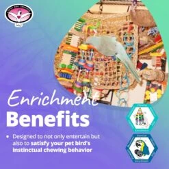 Super Bird Creations Activity Wall Bird Toy, Medium -Sunny Decor Shop 146989 PT4. AC SS1800 V1662671782