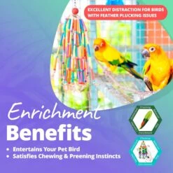 Super Bird Creations Wind Chimes Bird Toy, Medium 15 Super Bird Creations Wind Chimes Bird Toy, Medium -Sunny Decor Shop 146992 PT4. AC SS1800 V1662689423