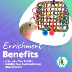 Super Bird Creations Mini Activity Wall Bird Toy, Medium 13 Super Bird Creations Mini Activity Wall Bird Toy, Medium -Sunny Decor Shop 146994 PT4. AC SS1800 V1662689660