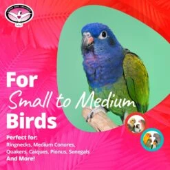 Super Bird Creations Mini Activity Wall Bird Toy, Medium 14 Super Bird Creations Mini Activity Wall Bird Toy, Medium -Sunny Decor Shop 146994 PT5. AC SS1800 V1662689064