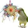 Super Bird Creations Pinwheel Bird Toy, Medium -Sunny Decor Shop 146996 MAIN. AC SS1800 V1662689119