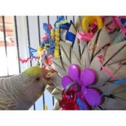 Super Bird Creations Pinwheel Bird Toy, Medium -Sunny Decor Shop 146996 PT3. AC SS1800 V1662671842