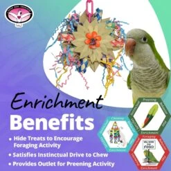 Super Bird Creations Pinwheel Bird Toy, Medium -Sunny Decor Shop 146996 PT4. AC SS1800 V1685653315