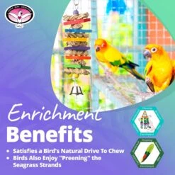 Super Bird Creations Seagrass Wafers Bird Toy, Medium -Sunny Decor Shop 147009 PT4. AC SS1800 V1662671474
