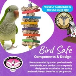 Super Bird Creations Seagrass Wafers Bird Toy, Medium -Sunny Decor Shop 147009 PT7. AC SS1800 V1685653371