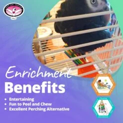 Super Bird Creations Paper Party Bird Toy, Large -Sunny Decor Shop 147018 PT4. AC SS1800 V1662688999