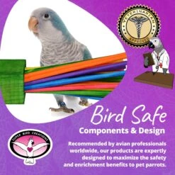 Super Bird Creations Paper Party Bird Toy, Large -Sunny Decor Shop 147018 PT7. AC SS1800 V1685652991