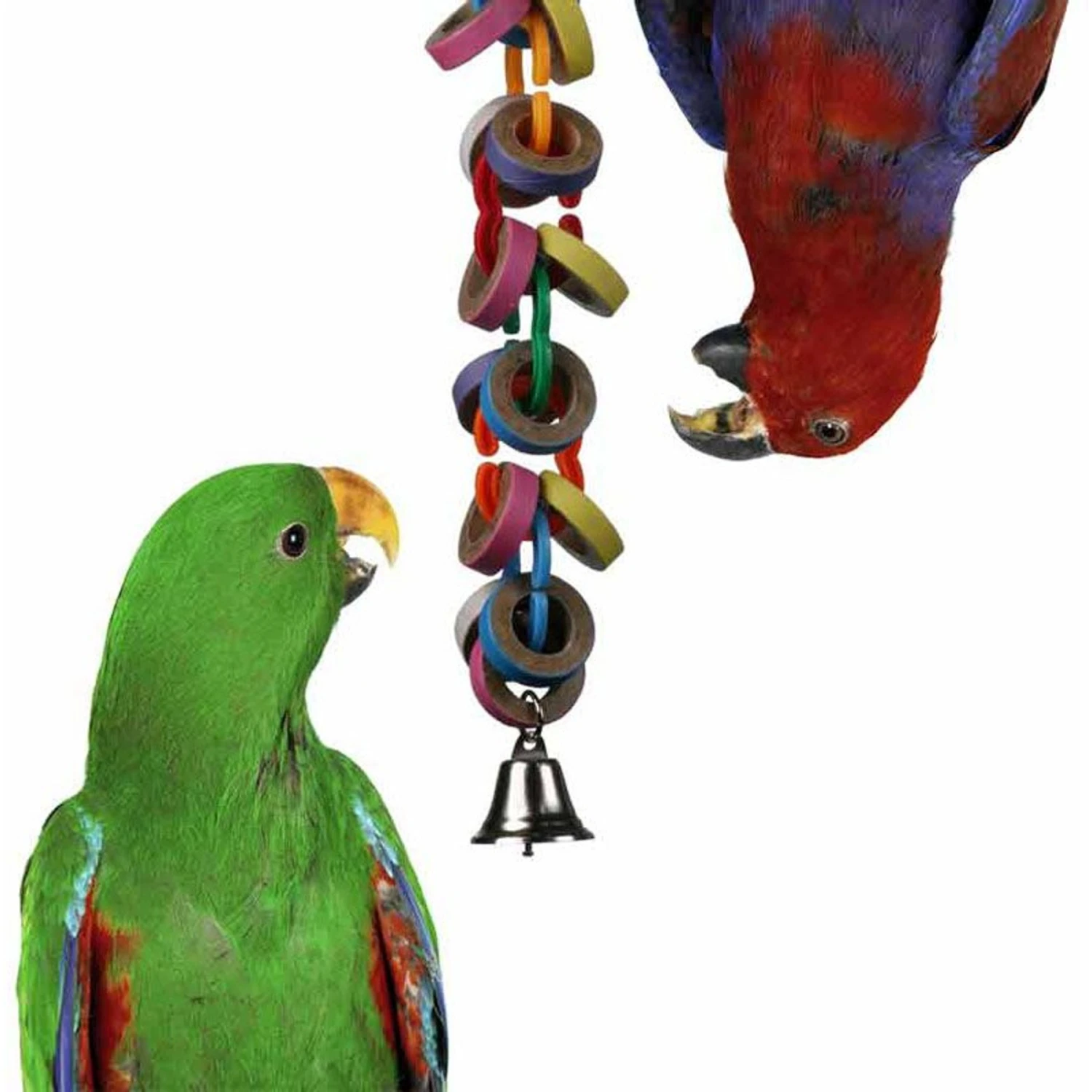 Super Bird Creations Hoopla Bird Toy, Medium/Large 3 Super Bird Creations Hoopla Bird Toy, Medium/Large