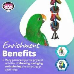 Super Bird Creations Hoopla Bird Toy, Medium/Large 13 Super Bird Creations Hoopla Bird Toy, Medium/Large -Sunny Decor Shop 147021 PT4. AC SS1800 V1662689420