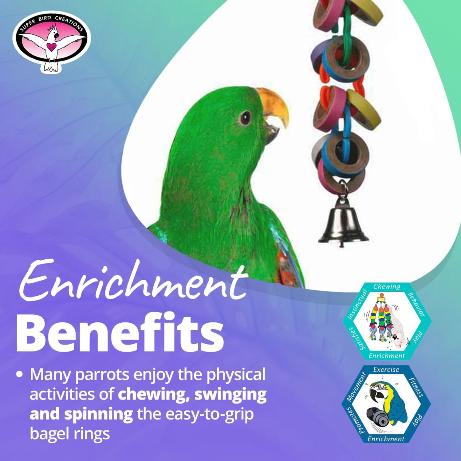 Super Bird Creations Hoopla Bird Toy, Medium/Large 6 Super Bird Creations Hoopla Bird Toy, Medium/Large - Image 4