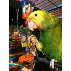 Super Bird Creations Bottoms Up Bird Toy, Medium/Large -Sunny Decor Shop 147026 PT3. AC SS1800 V1662671535