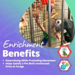 Super Bird Creations Bottoms Up Bird Toy, Medium/Large -Sunny Decor Shop 147026 PT4. AC SS1800 V1662689124