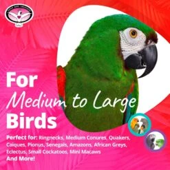 Super Bird Creations Bottoms Up Bird Toy, Medium/Large -Sunny Decor Shop 147026 PT5. AC SS1800 V1662671912