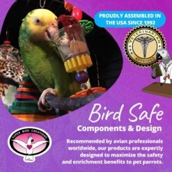 Super Bird Creations Bottoms Up Bird Toy, Medium/Large -Sunny Decor Shop 147026 PT7. AC SS1800 V1685652106