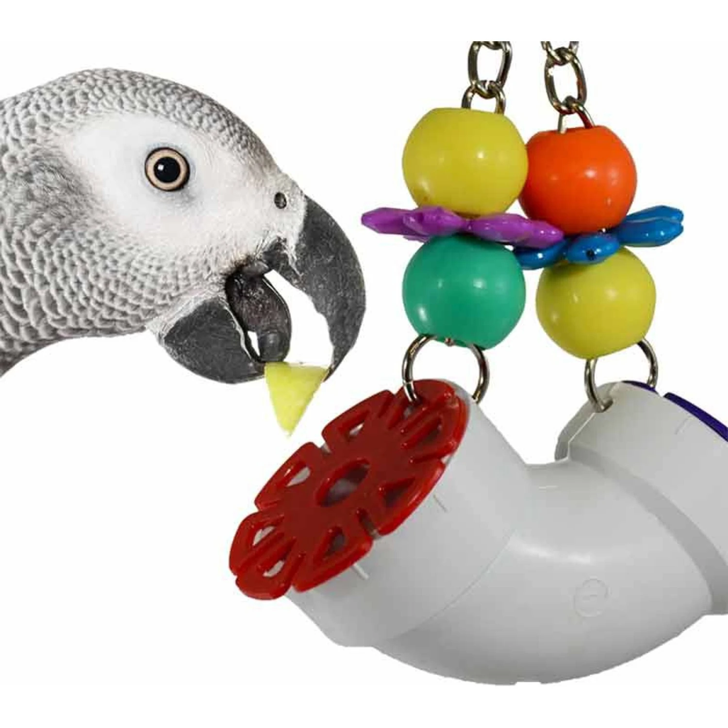 Super Bird Creations PVC Forager Bird Toy, Medium/Large 3 Super Bird Creations PVC Forager Bird Toy, Medium/Large