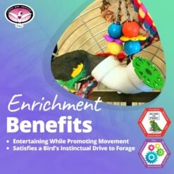 Super Bird Creations PVC Forager Bird Toy, Medium/Large 15 Super Bird Creations PVC Forager Bird Toy, Medium/Large -Sunny Decor Shop 147037 PT4. AC SS1800 V1662689547