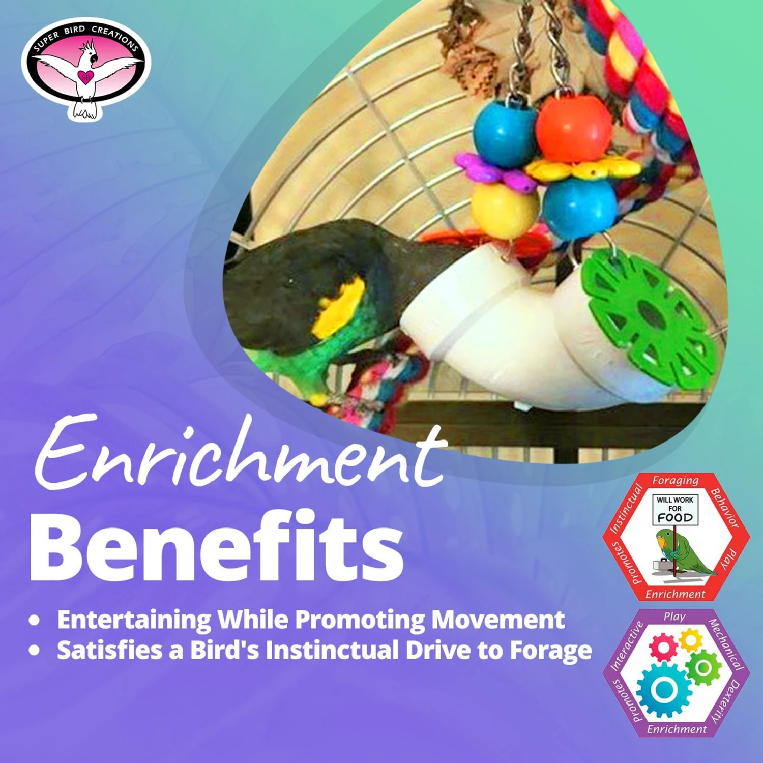 Super Bird Creations PVC Forager Bird Toy, Medium/Large 7 Super Bird Creations PVC Forager Bird Toy, Medium/Large - Image 5
