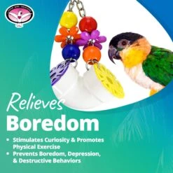 Super Bird Creations PVC Forager Bird Toy, Medium/Large 17 Super Bird Creations PVC Forager Bird Toy, Medium/Large -Sunny Decor Shop 147037 PT6. AC SS1800 V1662671215