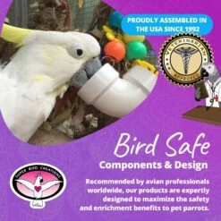 Super Bird Creations PVC Forager Bird Toy, Medium/Large 18 Super Bird Creations PVC Forager Bird Toy, Medium/Large -Sunny Decor Shop 147037 PT7. AC SS1800 V1685653661