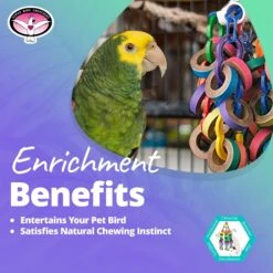 Super Bird Creations Bagel Cascade Bird Toy, Large -Sunny Decor Shop 147039 PT4. AC SS1800 V1662671841