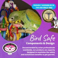 Super Bird Creations Bagel Cascade Bird Toy, Large -Sunny Decor Shop 147039 PT7. AC SS1800 V1685652225