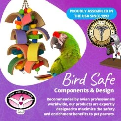 Super Bird Creations Humdinger Bird Toy, X-Large -Sunny Decor Shop 147041 PT7. AC SS1800 V1685653666