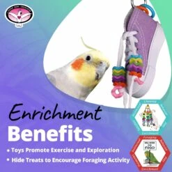 Super Bird Creations Beaker Sneaker Bird Toy, Small/Medium -Sunny Decor Shop 147052 PT4. AC SS1800 V1685652938