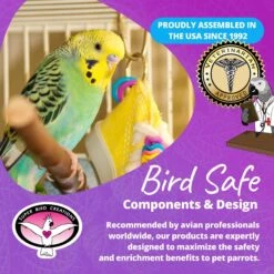 Super Bird Creations Beaker Sneaker Bird Toy, Small/Medium -Sunny Decor Shop 147052 PT7. AC SS1800 V1685652934