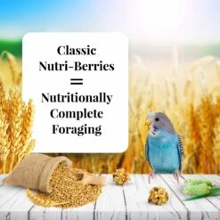 Lafeber Classic Nutri-Berries Parakeet Food -Sunny Decor Shop 149782 PT3. AC SS1800 V1620686882