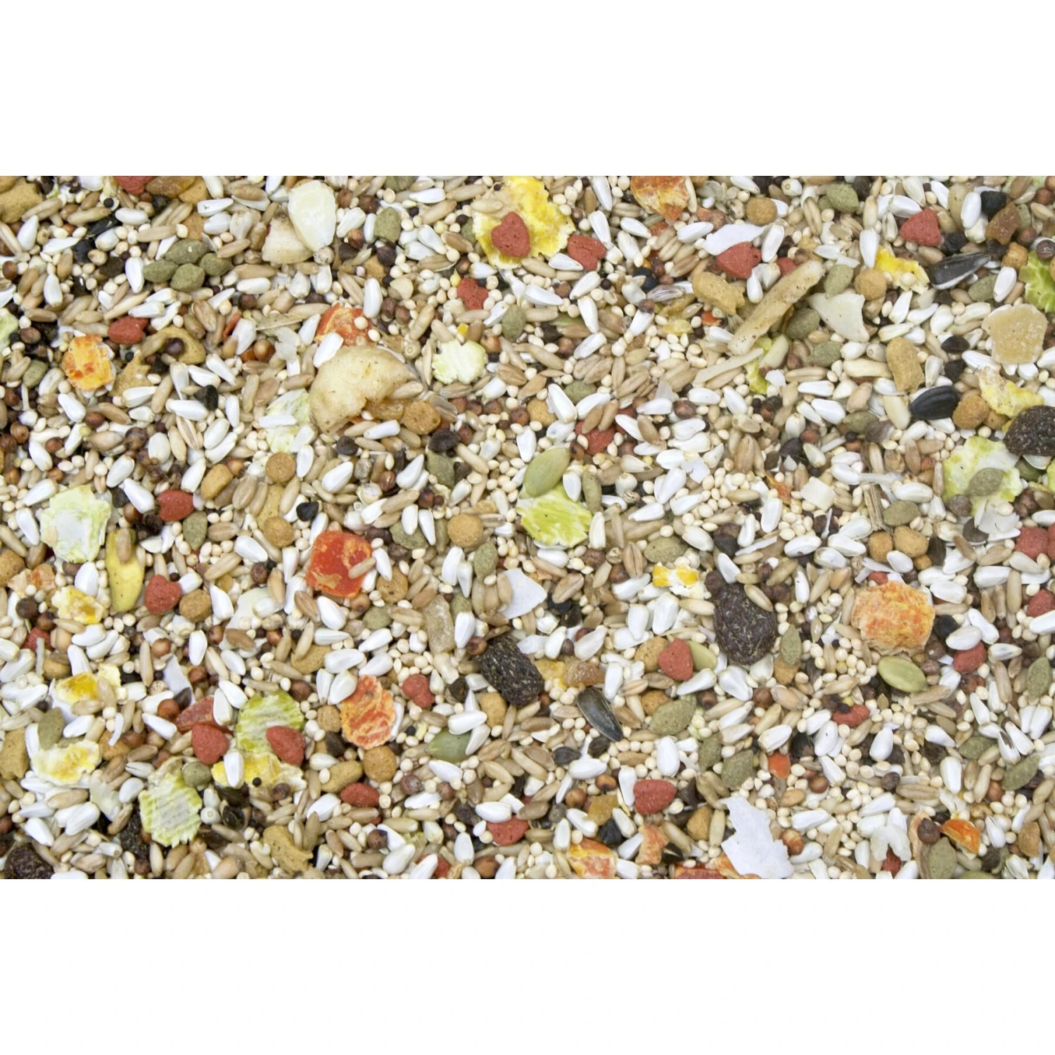 Higgins Safflower Gold Natural Mix Conure & Cockatiel Food 5 Higgins Safflower Gold Natural Mix Conure & Cockatiel Food - Image 3