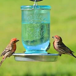 Perky-Pet Mason Jar Wild Bird Waterer -Sunny Decor Shop 154409 PT1. AC SS1800 V1540505308