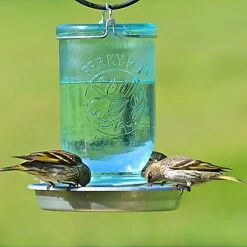Perky-Pet Mason Jar Wild Bird Waterer -Sunny Decor Shop 154409 PT2. AC SS1800 V1540505309