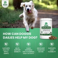 Higgins InTune Complete & Balanced Diet Parakeet Bird Food -Sunny Decor Shop 156799 PT3. AC SS1800 V1647385586