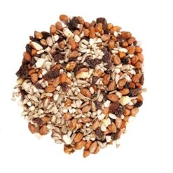 Wagner's Gourmet Nut N' Fruit Wild Bird Food -Sunny Decor Shop 162386 PT2. AC SS1800 V1600386382