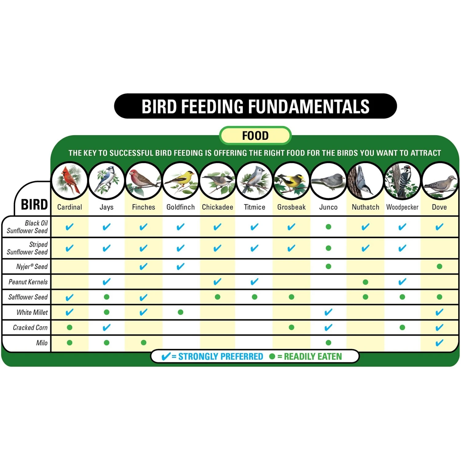 Wagner's Mealworms Wild Bird Food 6 Wagner's Mealworms Wild Bird Food - Image 4