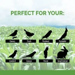 Sunseed Natural Corn Cob Bird & Small Pet Bedding & Litter, 5.7-lit 11 Sunseed Natural Corn Cob Bird & Small Pet Bedding & Litter, 5.7-lit -Sunny Decor Shop 163751 PT3. AC SS1800 V1666652820