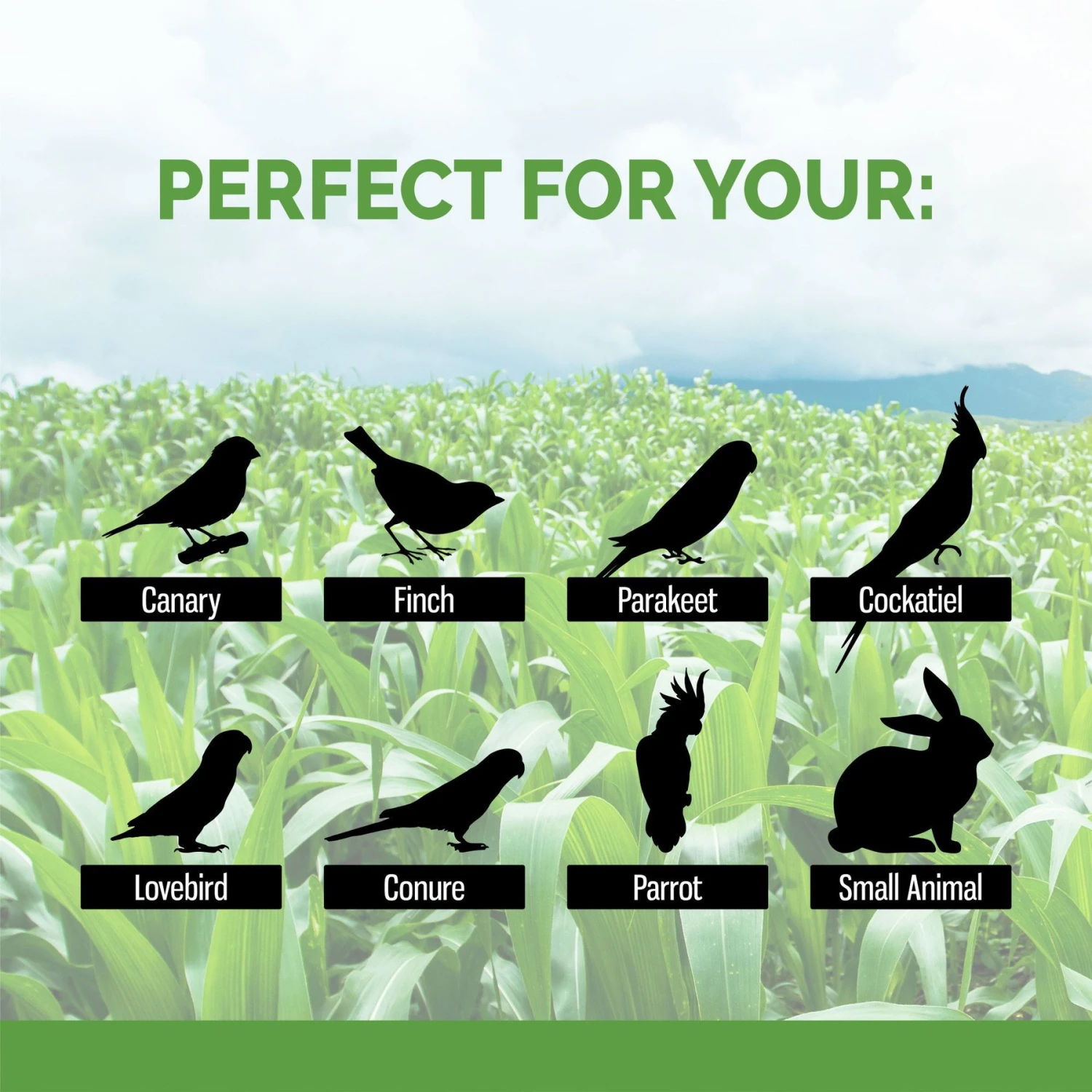 Sunseed Natural Corn Cob Bird & Small Pet Bedding & Litter, 5.7-lit 6 Sunseed Natural Corn Cob Bird & Small Pet Bedding & Litter, 5.7-lit - Image 4