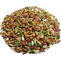 Brown's Encore Gourmet Foraging Feast Parakeet Food -Sunny Decor Shop 165368 PT6. AC SS1800 V1673648215