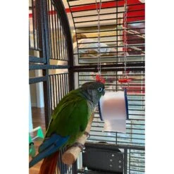 Polly's Pet Products Fun Roll Bird Toy -Sunny Decor Shop 175290 PT2. AC SS1800 V1673561030