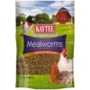 Kaytee Dried Mealworms Wild Bird & Chicken Treat 2 Kaytee Dried Mealworms Wild Bird & Chicken Treat -Sunny Decor Shop 175930 MAIN. AC SS1800 V1563805108
