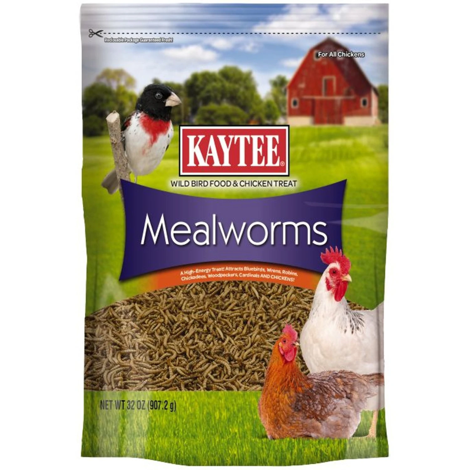 Kaytee Dried Mealworms Wild Bird & Chicken Treat 3 Kaytee Dried Mealworms Wild Bird & Chicken Treat