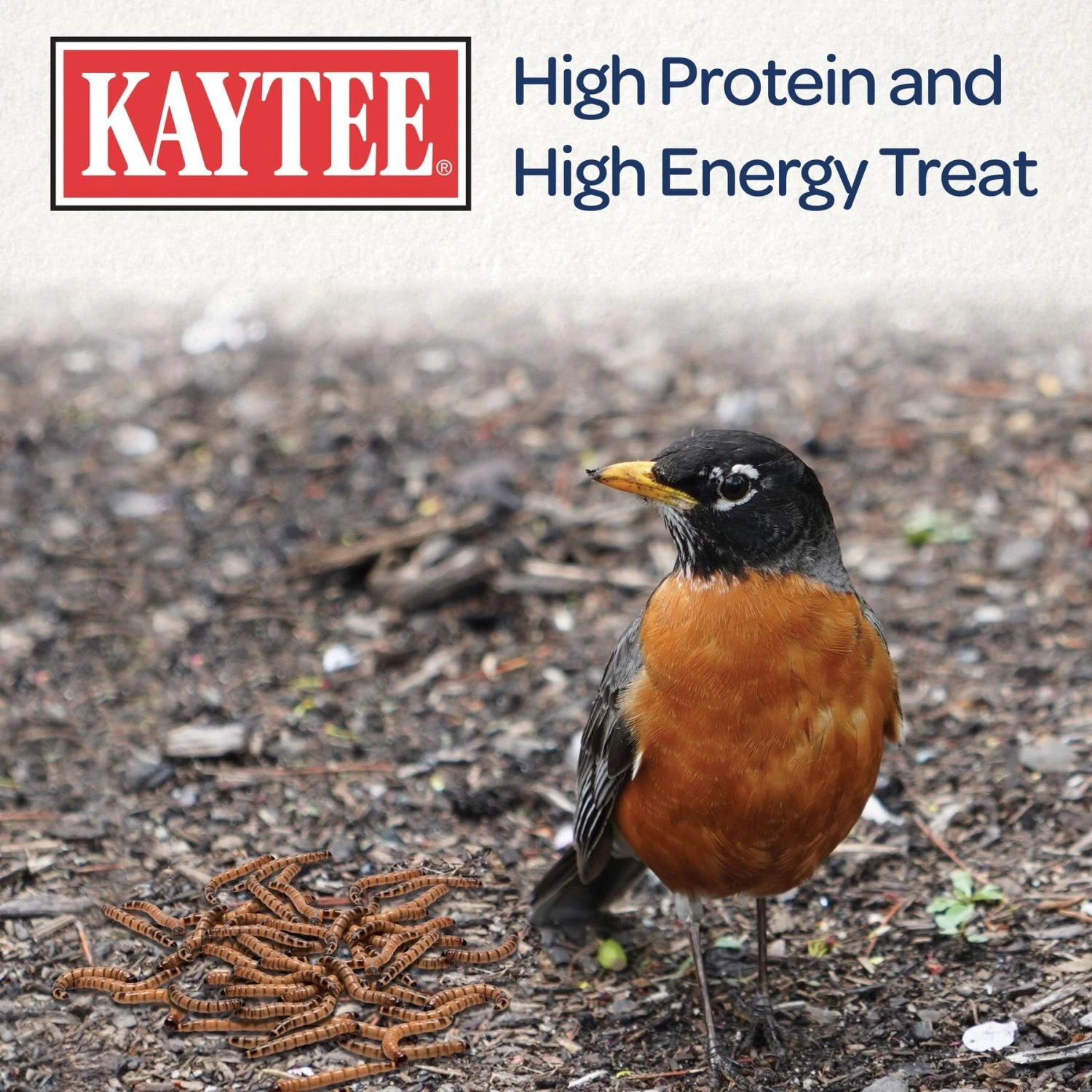 Kaytee Dried Mealworms Wild Bird & Chicken Treat 5 Kaytee Dried Mealworms Wild Bird & Chicken Treat - Image 3